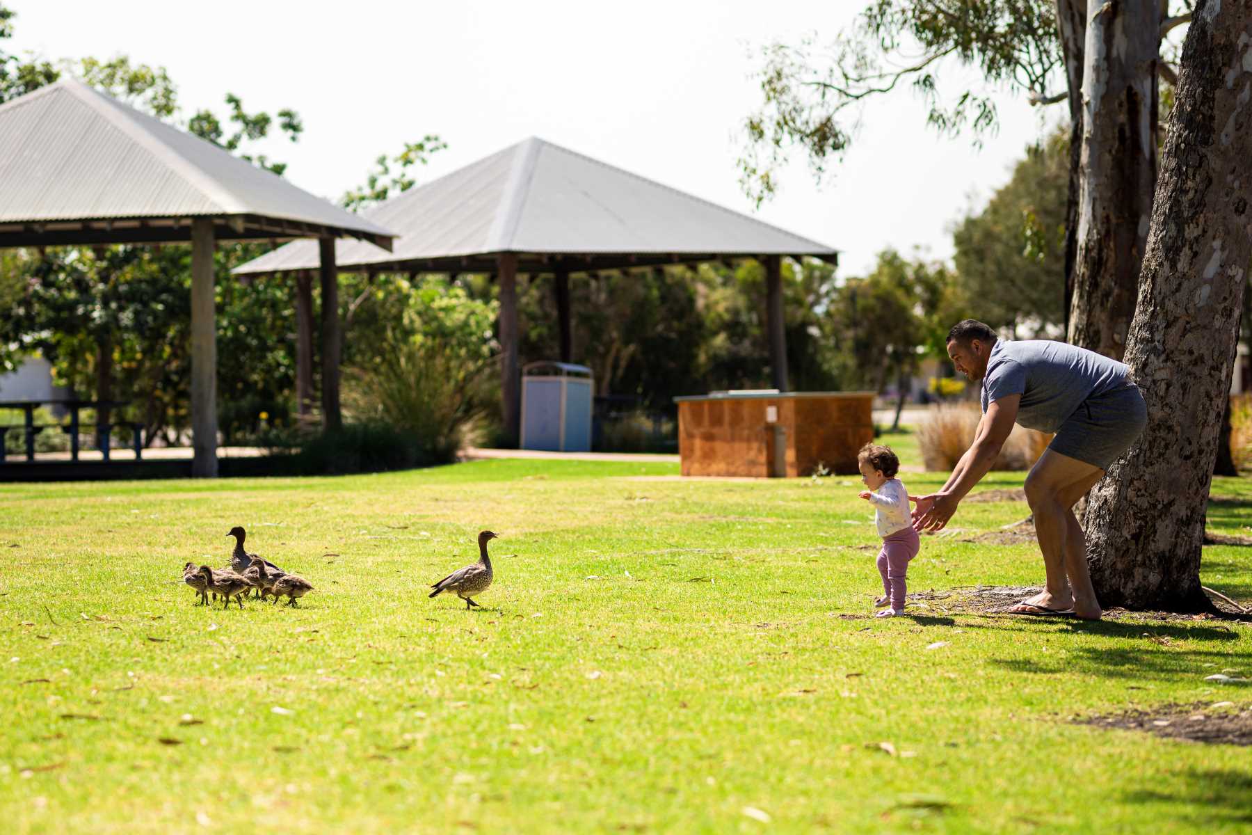 [Land for Sale] The Rivergums Estate, Baldivis OpenLot